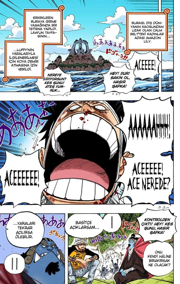 One Piece - Bölüm 582 - Sayfa 4