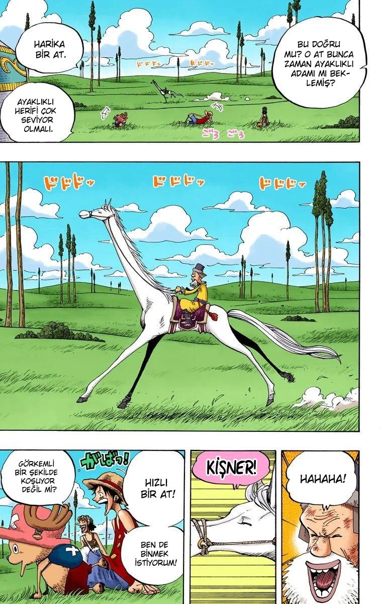 One Piece - Bölüm 305 - Sayfa 11