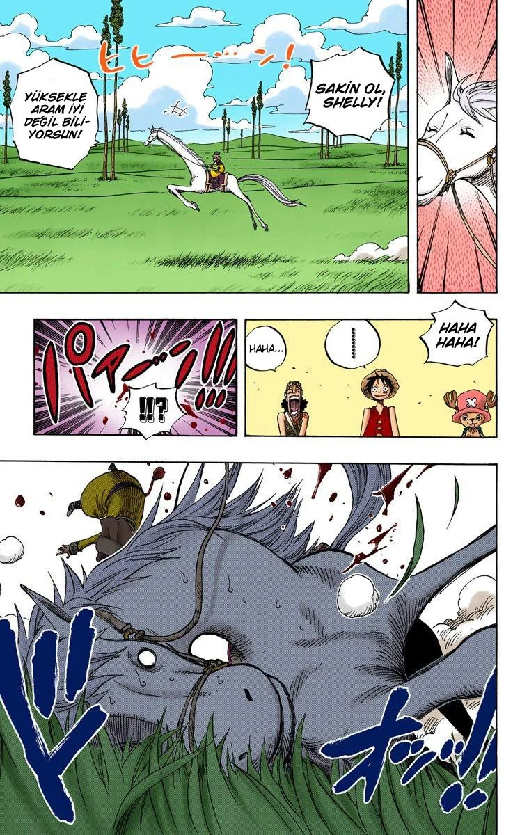 One Piece - Bölüm 305 - Sayfa 13