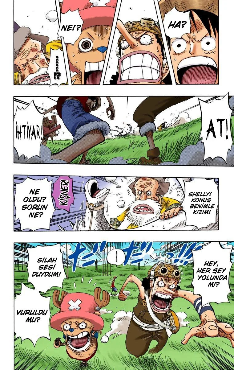 One Piece - Bölüm 305 - Sayfa 14
