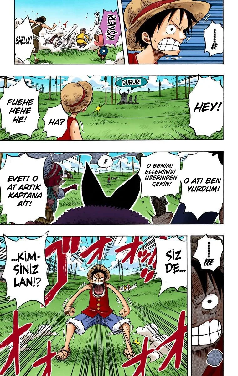 One Piece - Bölüm 305 - Sayfa 15