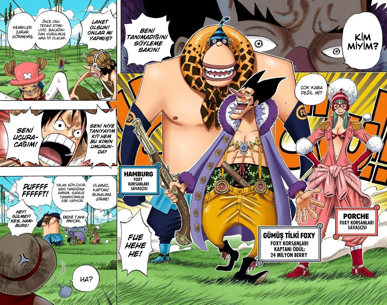 One Piece - Bölüm 305 - Sayfa 16