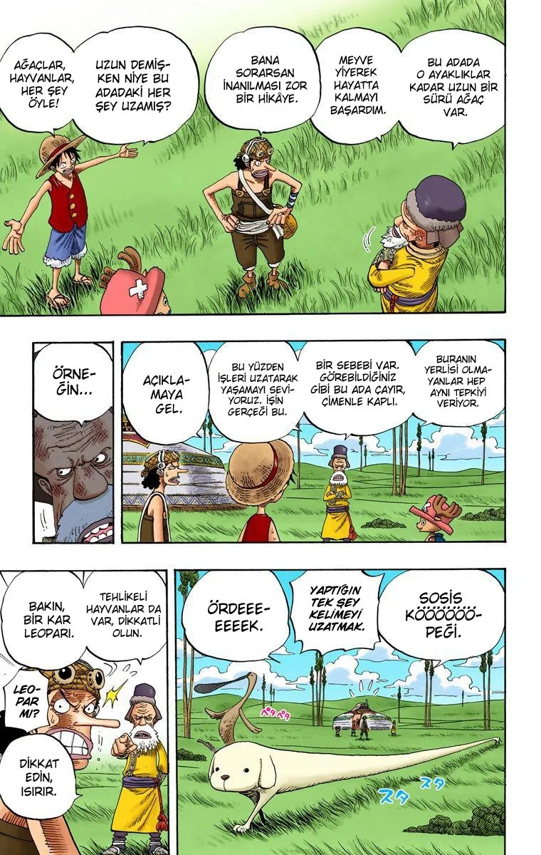 One Piece - Bölüm 305 - Sayfa 5