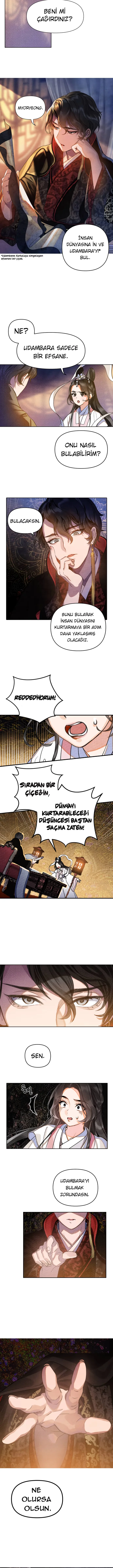 Heavenly Roommates - Bölüm 1 - Sayfa 14