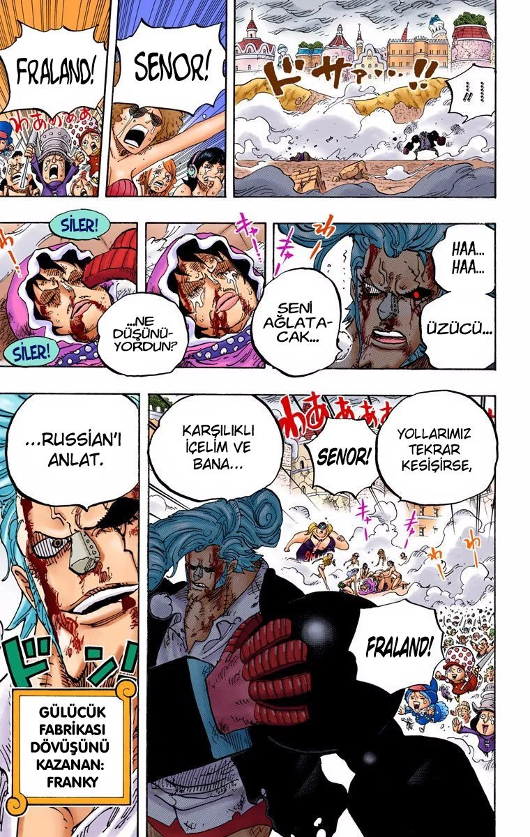 One Piece - Bölüm 775 - Sayfa 17