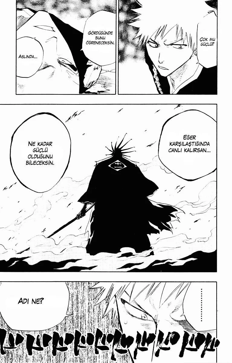 Bleach - Bölüm 89 - Sayfa 15