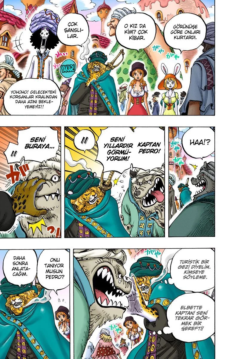 One Piece - Bölüm 827 - Sayfa 11