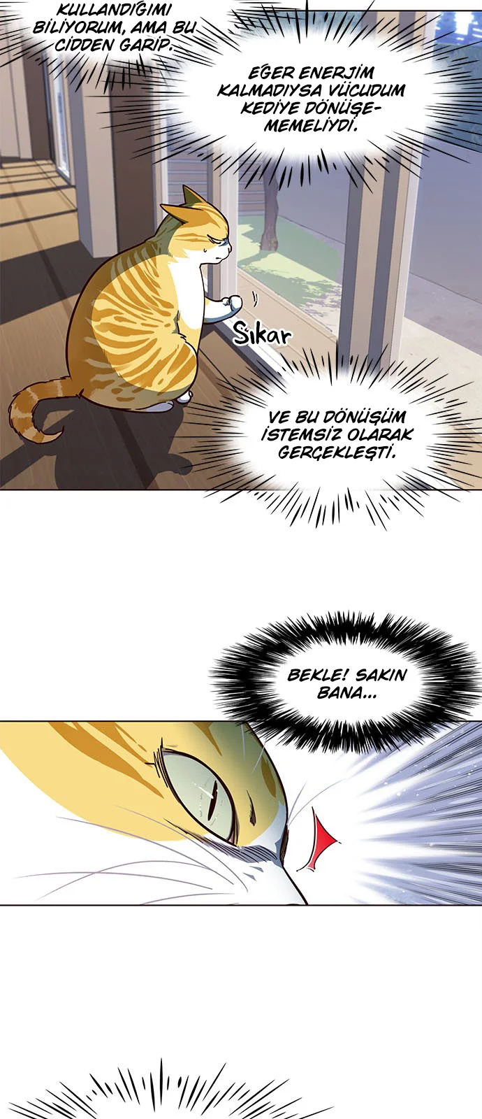 Eleceed - Bölüm 16 - Sayfa 12