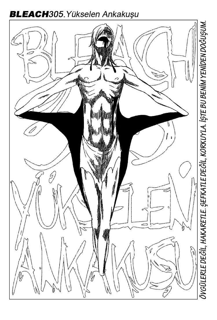 Bleach - Bölüm 305 - Sayfa 4