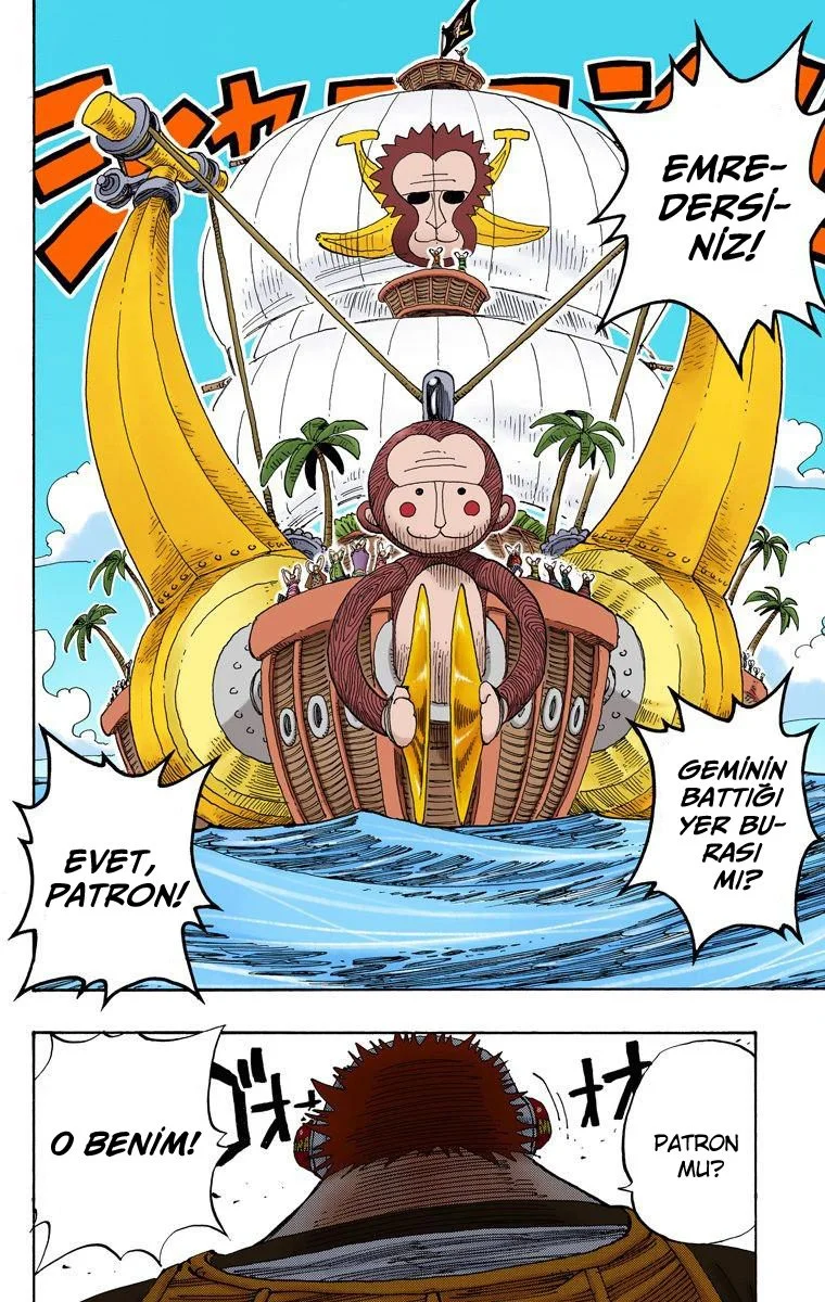One Piece - Bölüm 219 - Sayfa 14