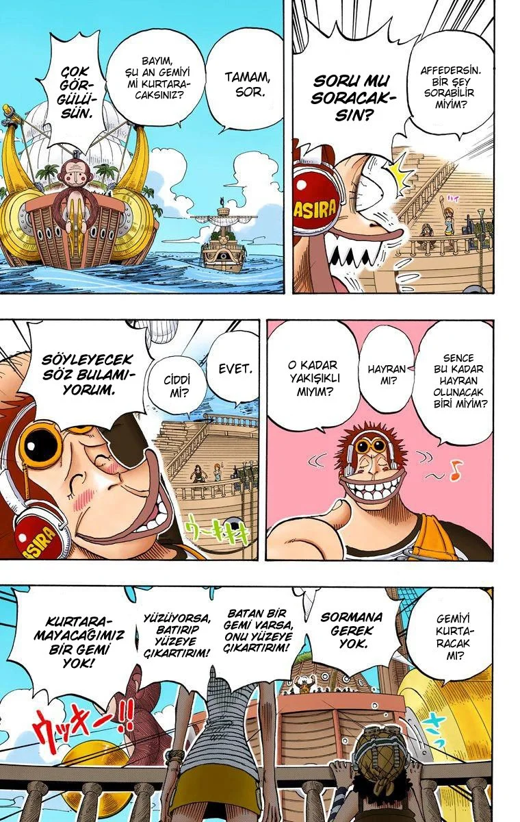 One Piece - Bölüm 219 - Sayfa 17