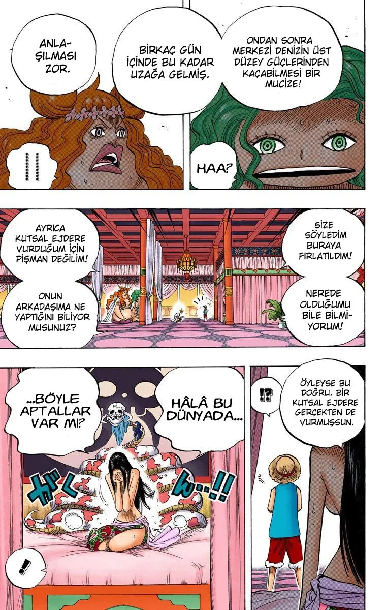 One Piece - Bölüm 521 - Sayfa 11