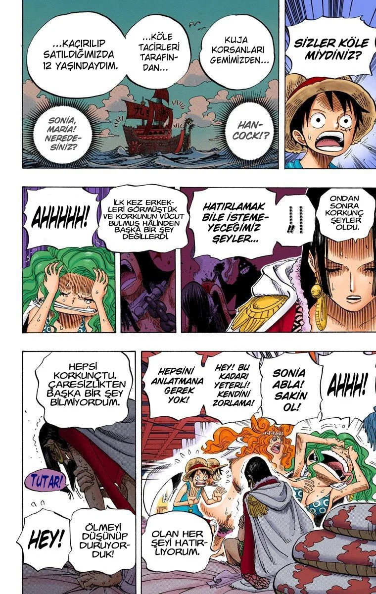 One Piece - Bölüm 521 - Sayfa 14
