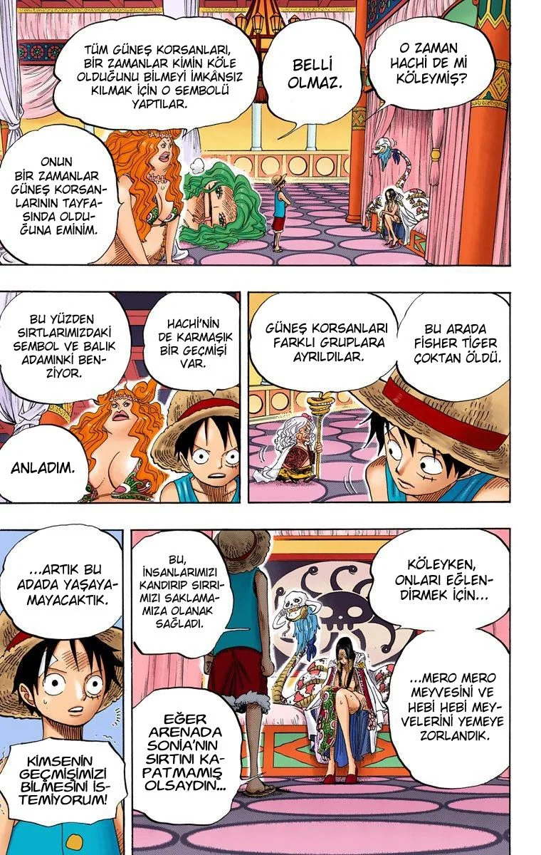 One Piece - Bölüm 521 - Sayfa 17