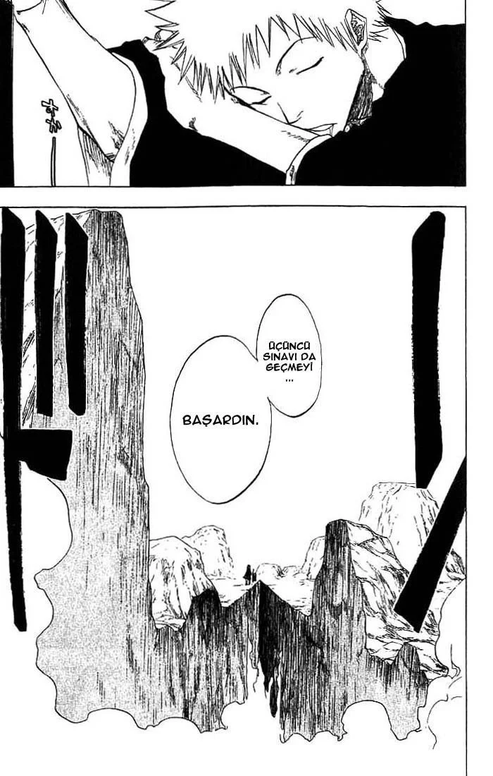 Bleach - Bölüm 67 - Sayfa 17