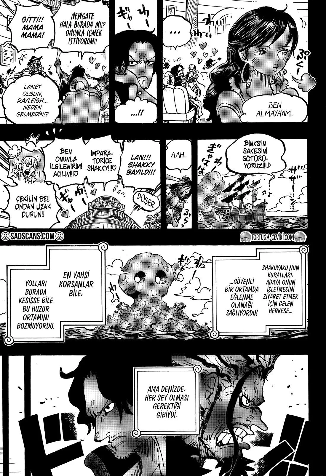 One Piece - Bölüm 1158 - Sayfa 10
