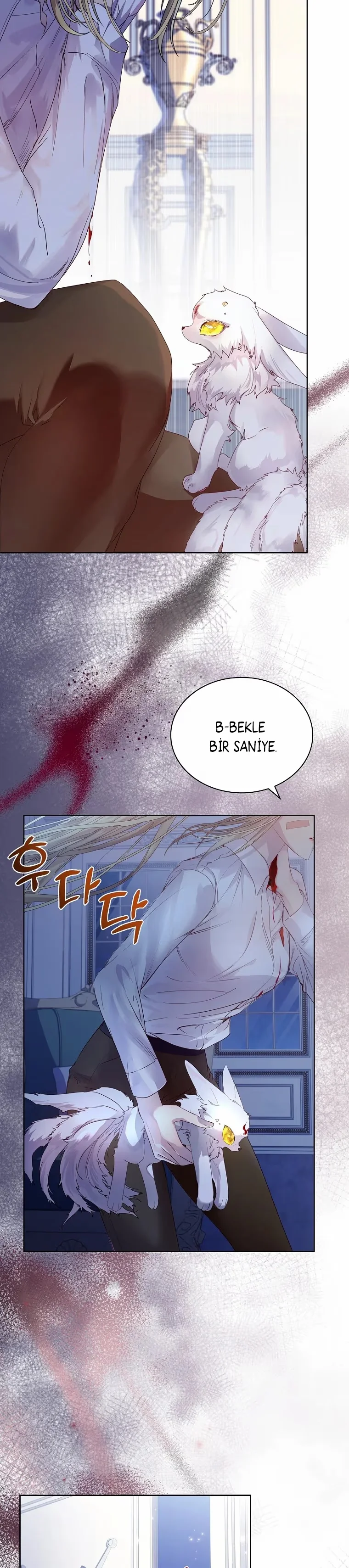 I Raised a Nine-Tailed Fox Wrongly - Bölüm 5 - Sayfa 12