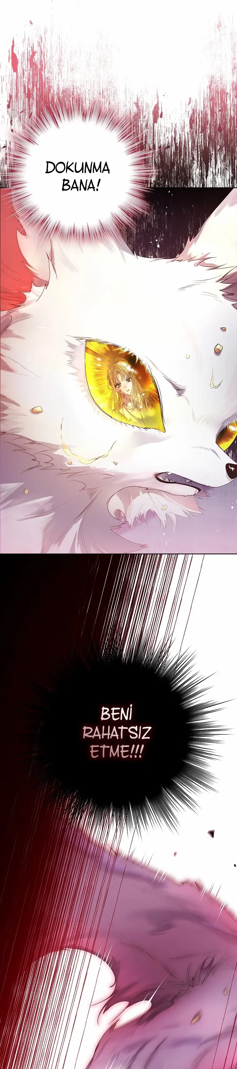 I Raised a Nine-Tailed Fox Wrongly - Bölüm 5 - Sayfa 8