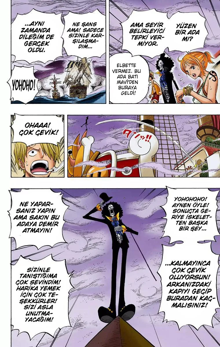 One Piece - Bölüm 443 - Sayfa 17