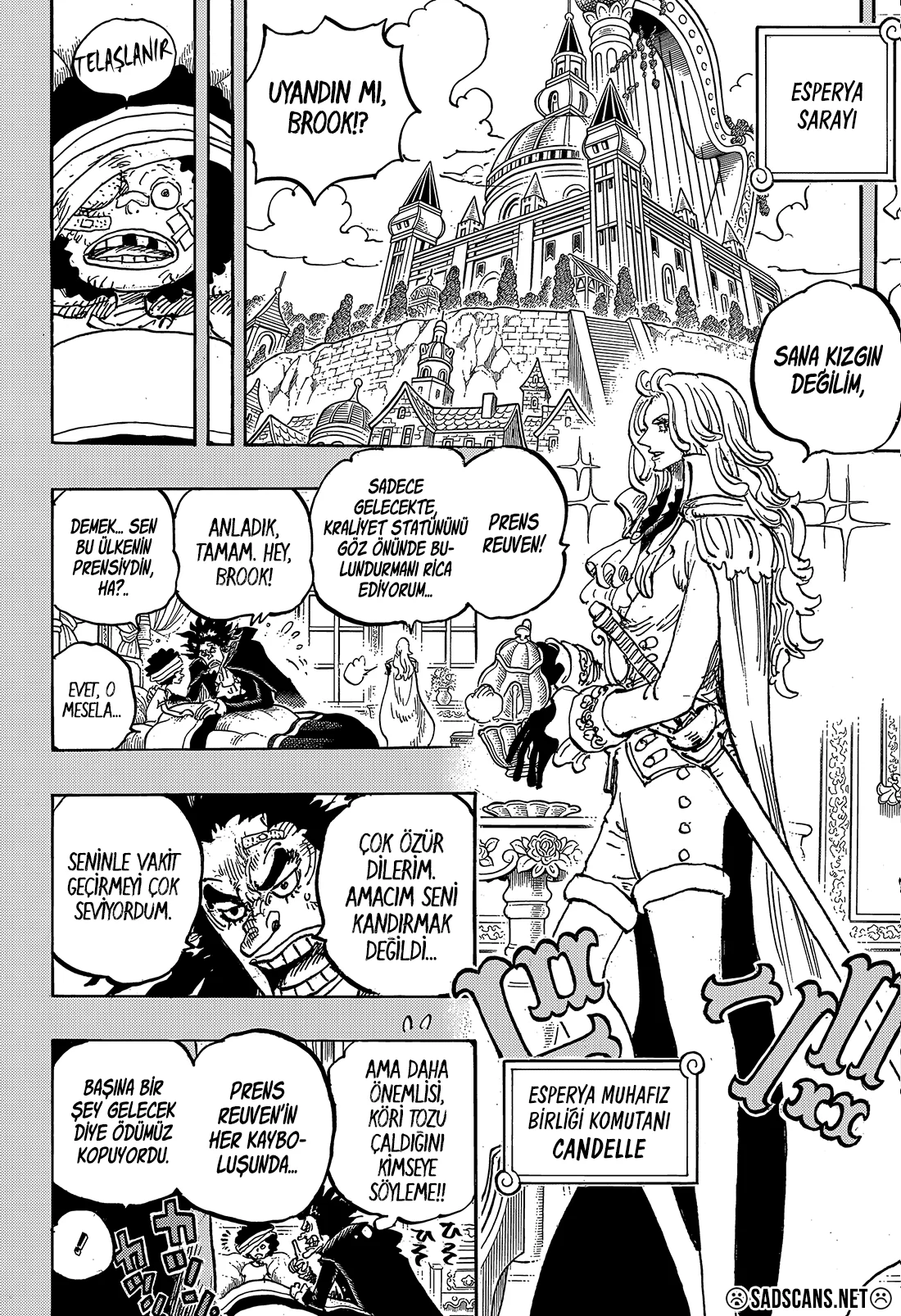 One Piece - Bölüm 1184 - Sayfa 12