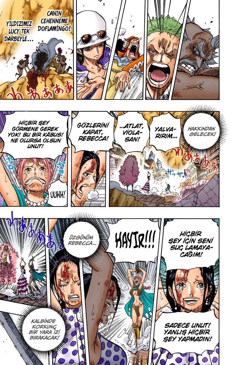 One Piece - Bölüm 789 - Sayfa 17