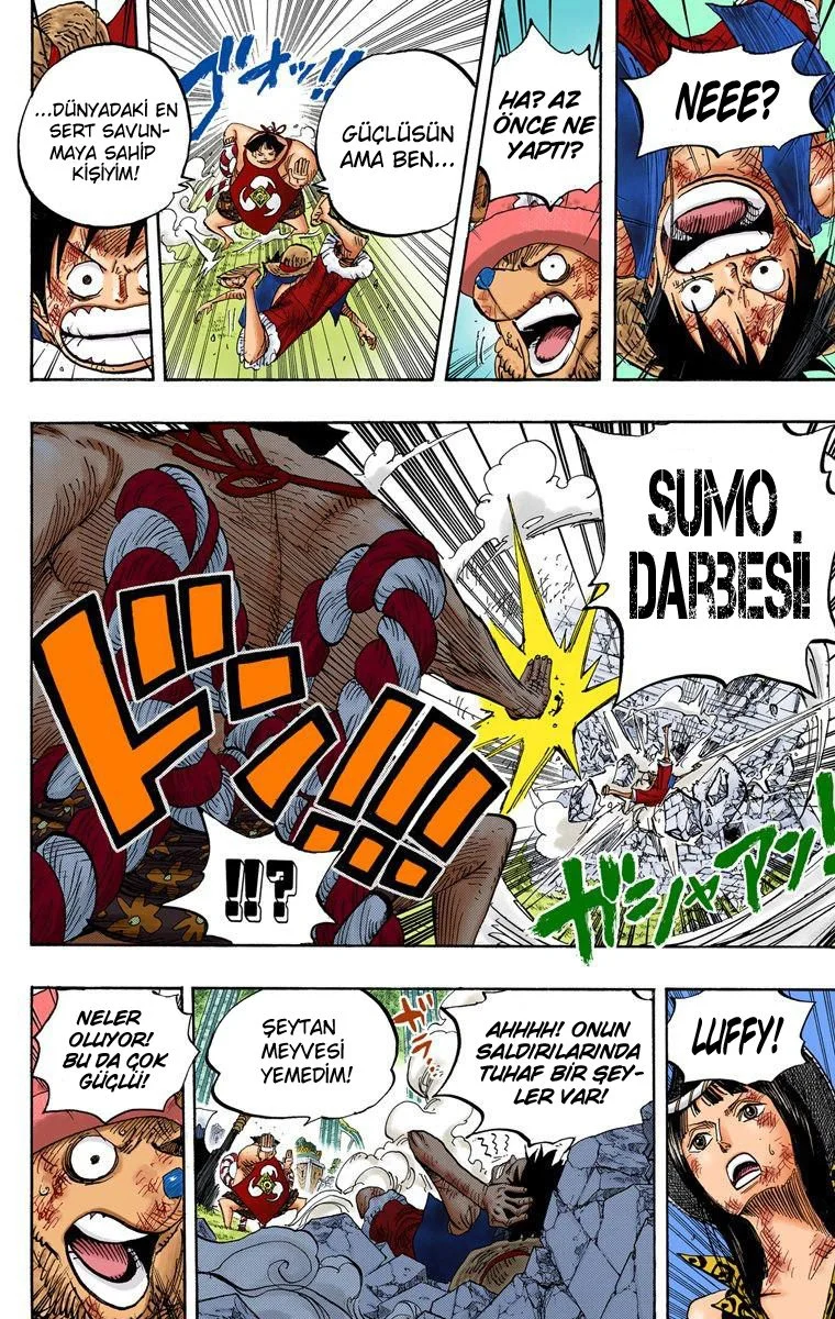 One Piece - Bölüm 511 - Sayfa 13