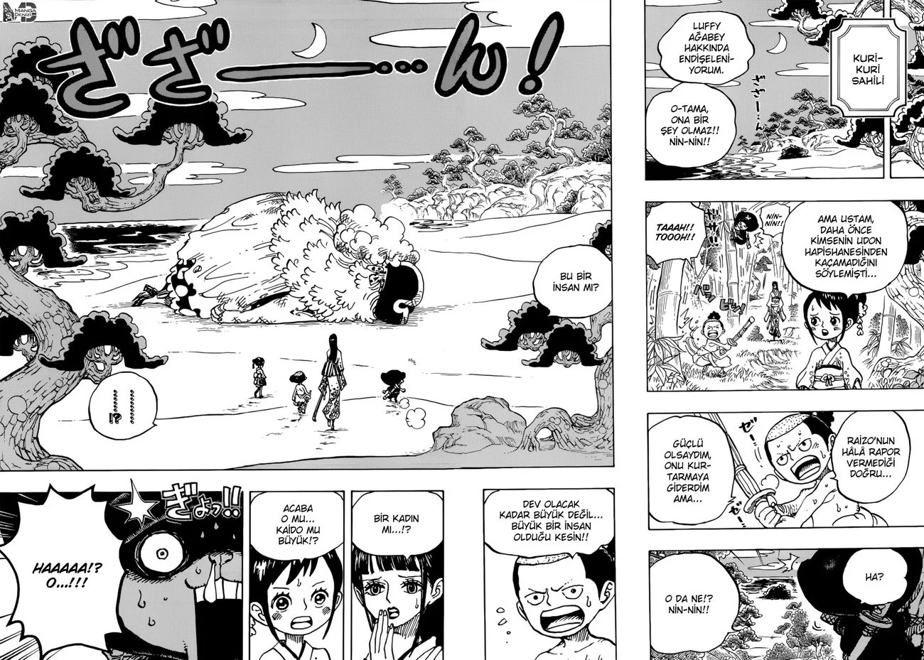One Piece - Bölüm 931 - Sayfa 13