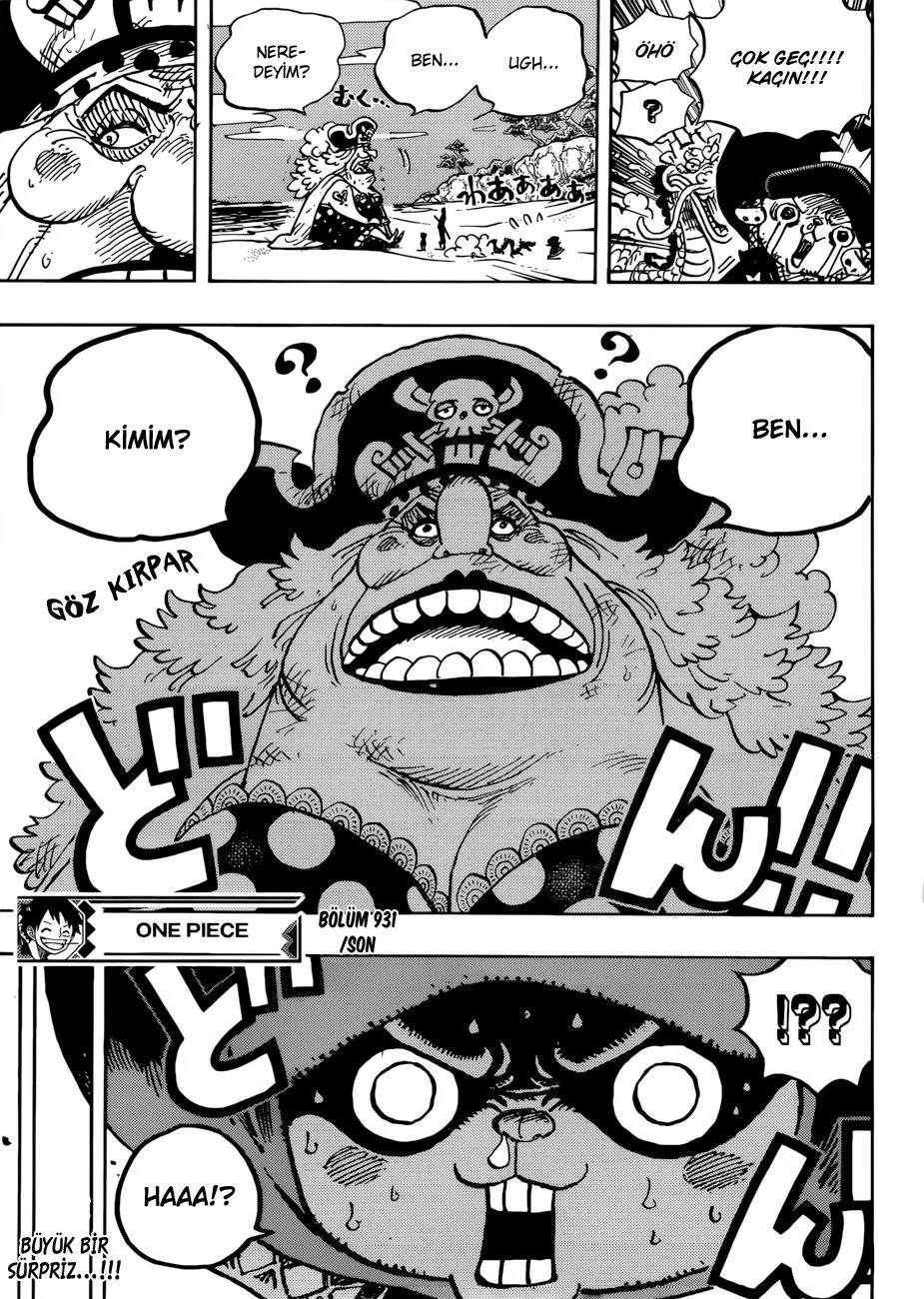 One Piece - Bölüm 931 - Sayfa 15