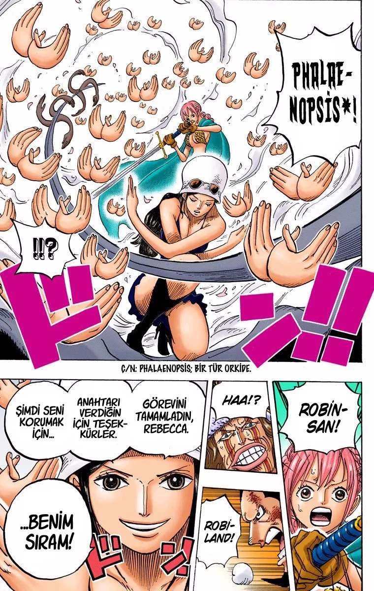 One Piece - Bölüm 773 - Sayfa 17