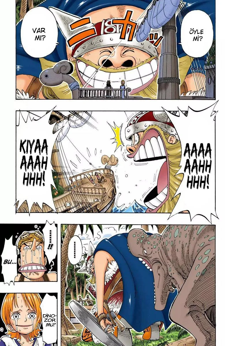 One Piece - Bölüm 116 - Sayfa 5