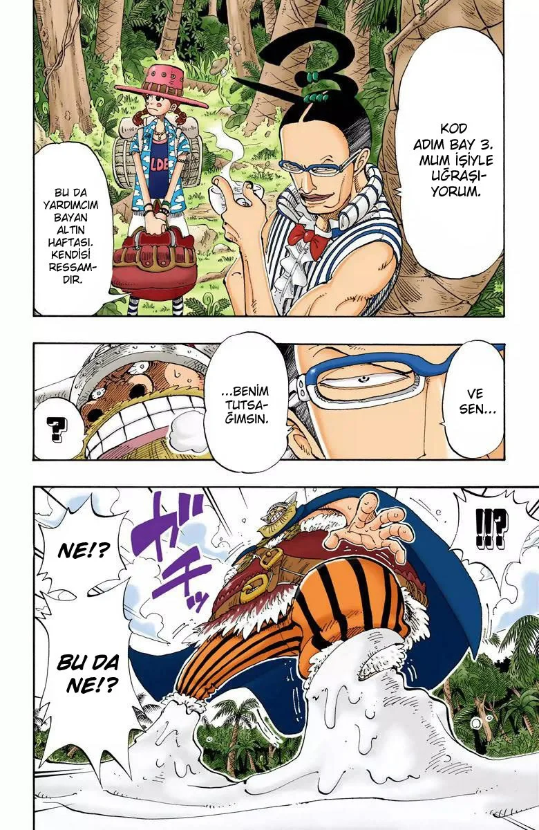 One Piece - Bölüm 120 - Sayfa 10