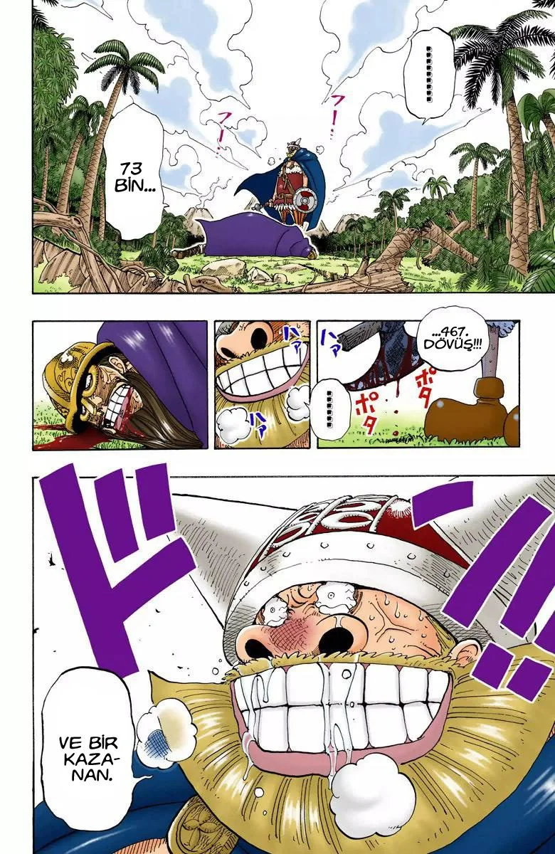 One Piece - Bölüm 120 - Sayfa 8