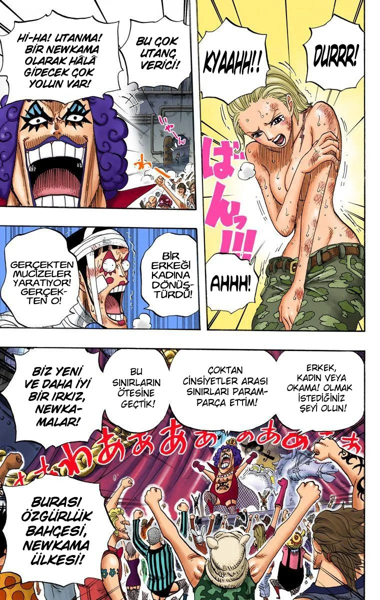 One Piece - Bölüm 537 - Sayfa 14