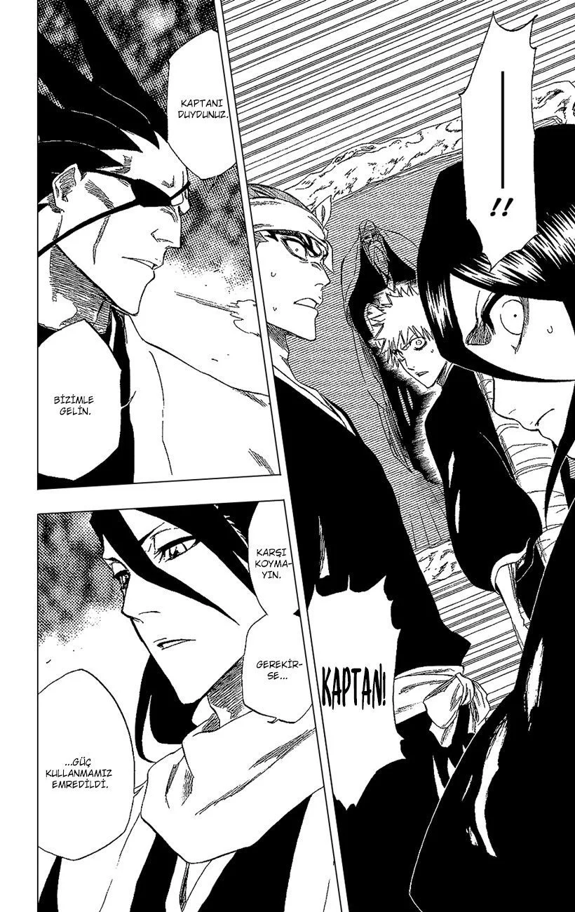 Bleach - Bölüm 238 - Sayfa 15