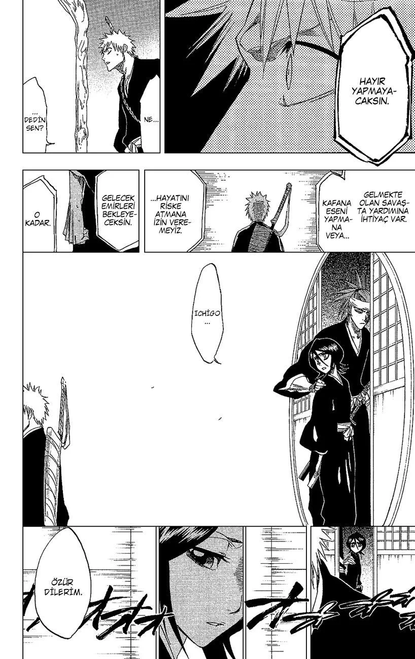 Bleach - Bölüm 238 - Sayfa 17