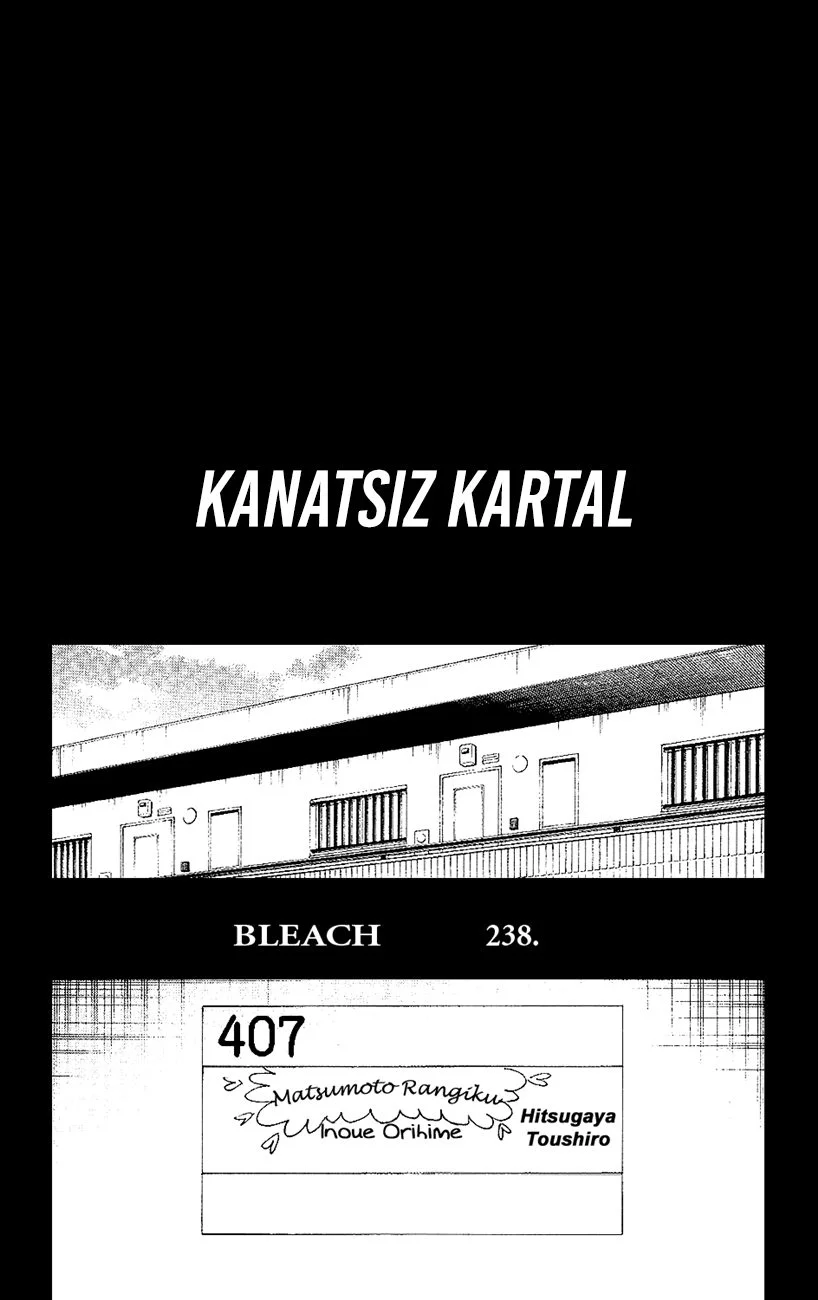 Bleach - Bölüm 238 - Sayfa 4