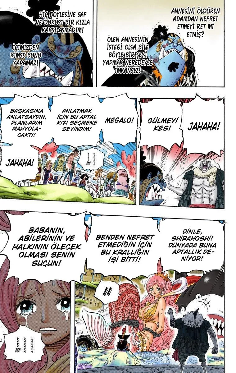 One Piece - Bölüm 633 - Sayfa 4