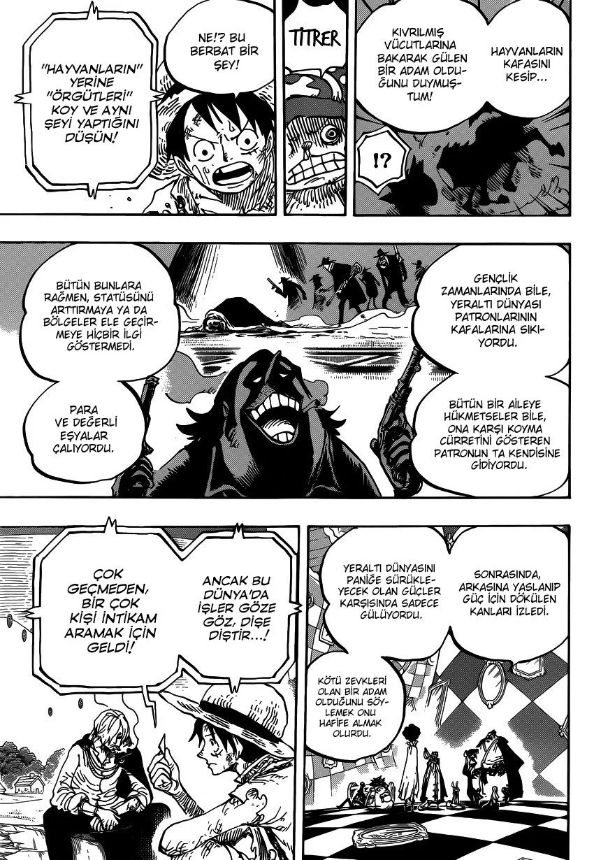One Piece - Bölüm 857 - Sayfa 11