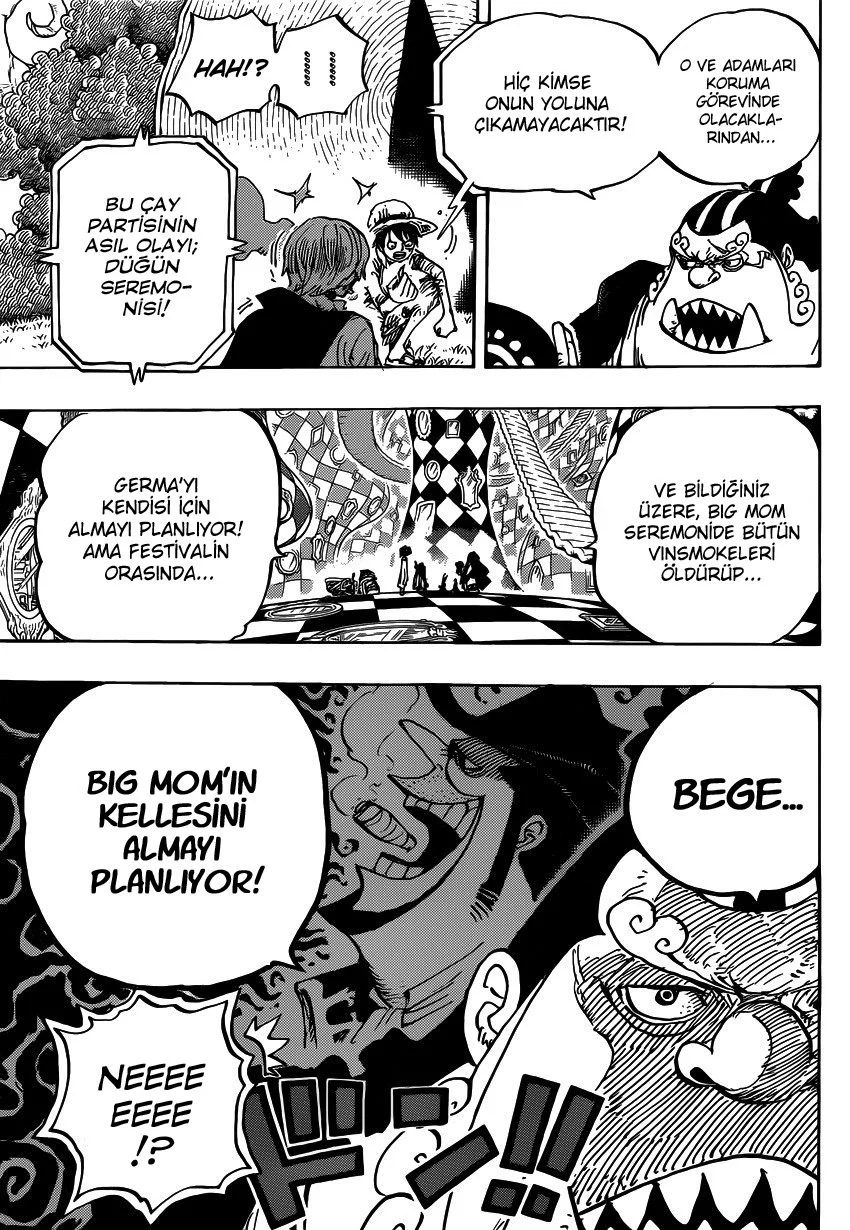 One Piece - Bölüm 857 - Sayfa 13