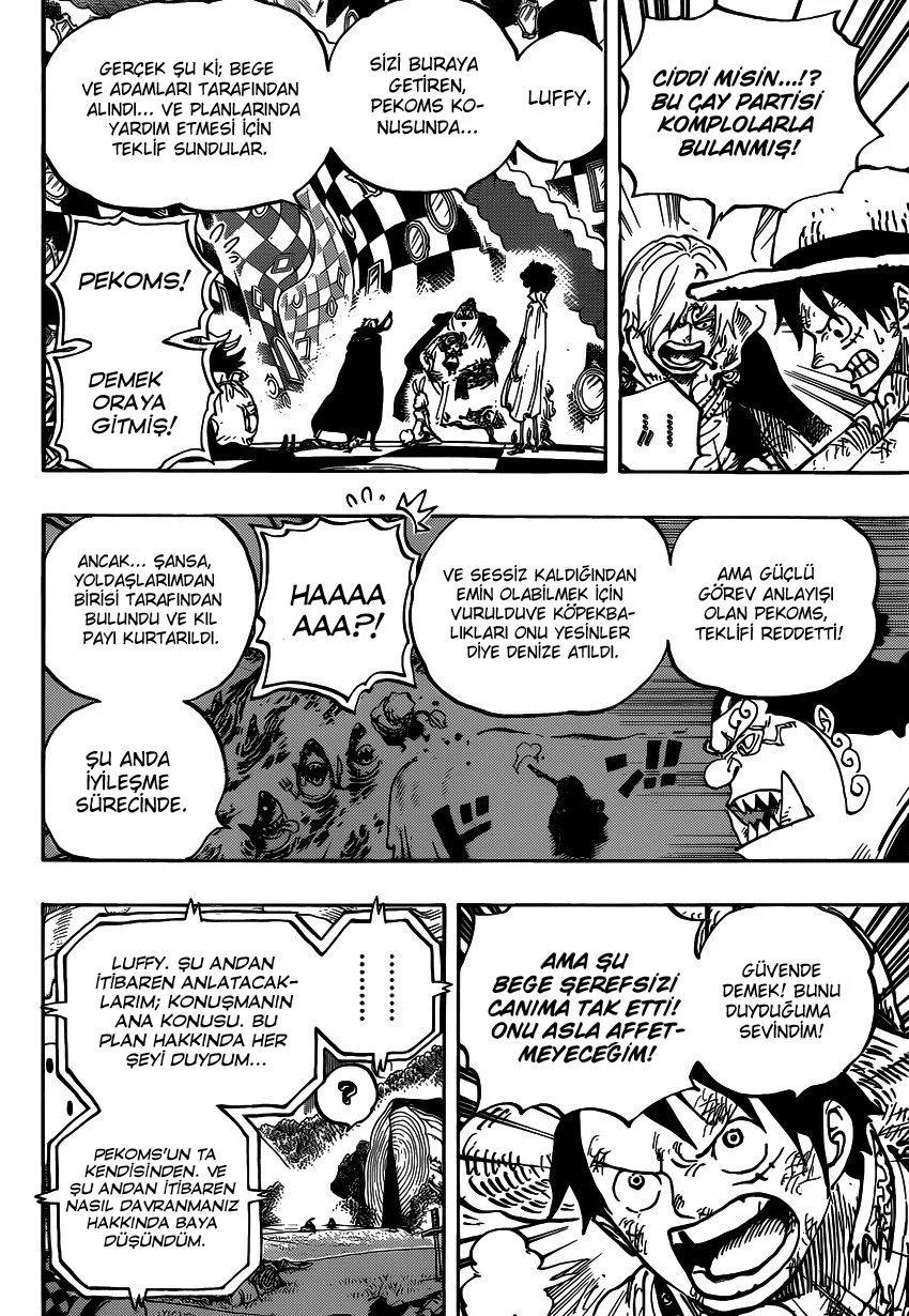 One Piece - Bölüm 857 - Sayfa 14