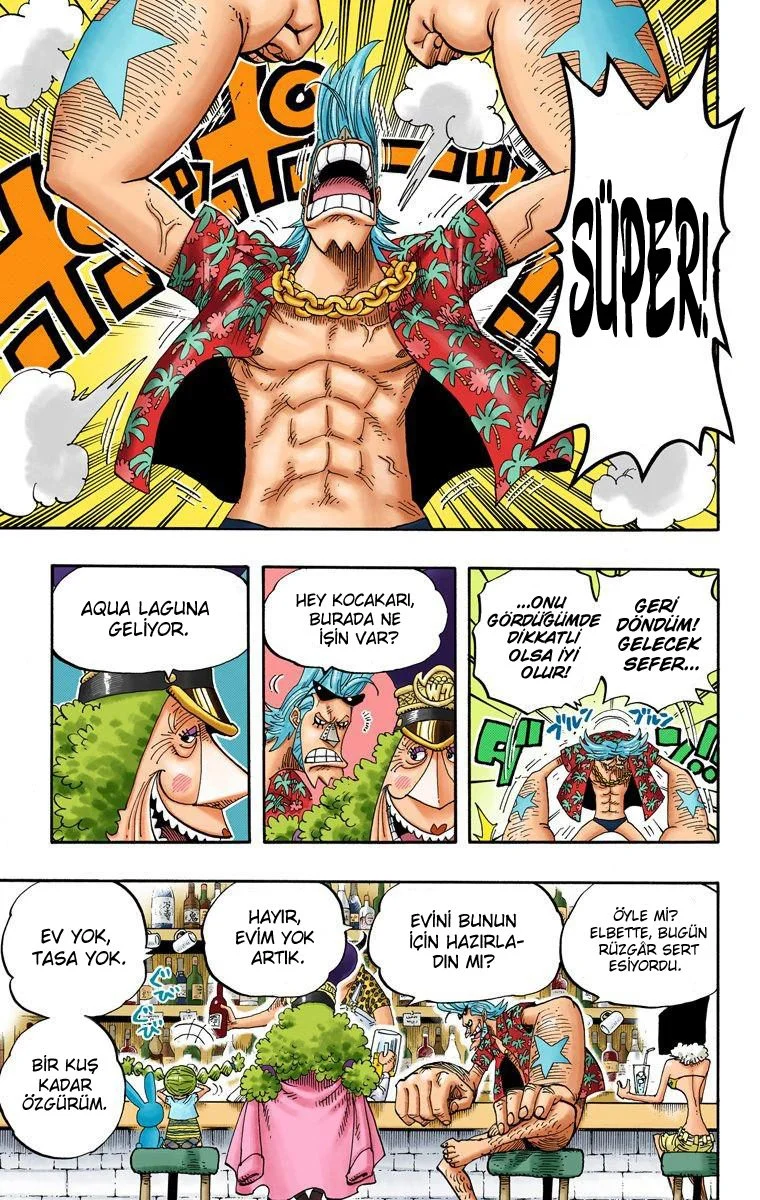 One Piece - Bölüm 339 - Sayfa 15