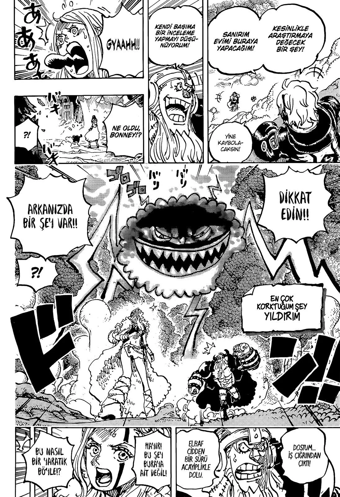 One Piece - Bölüm 1144 - Sayfa 5