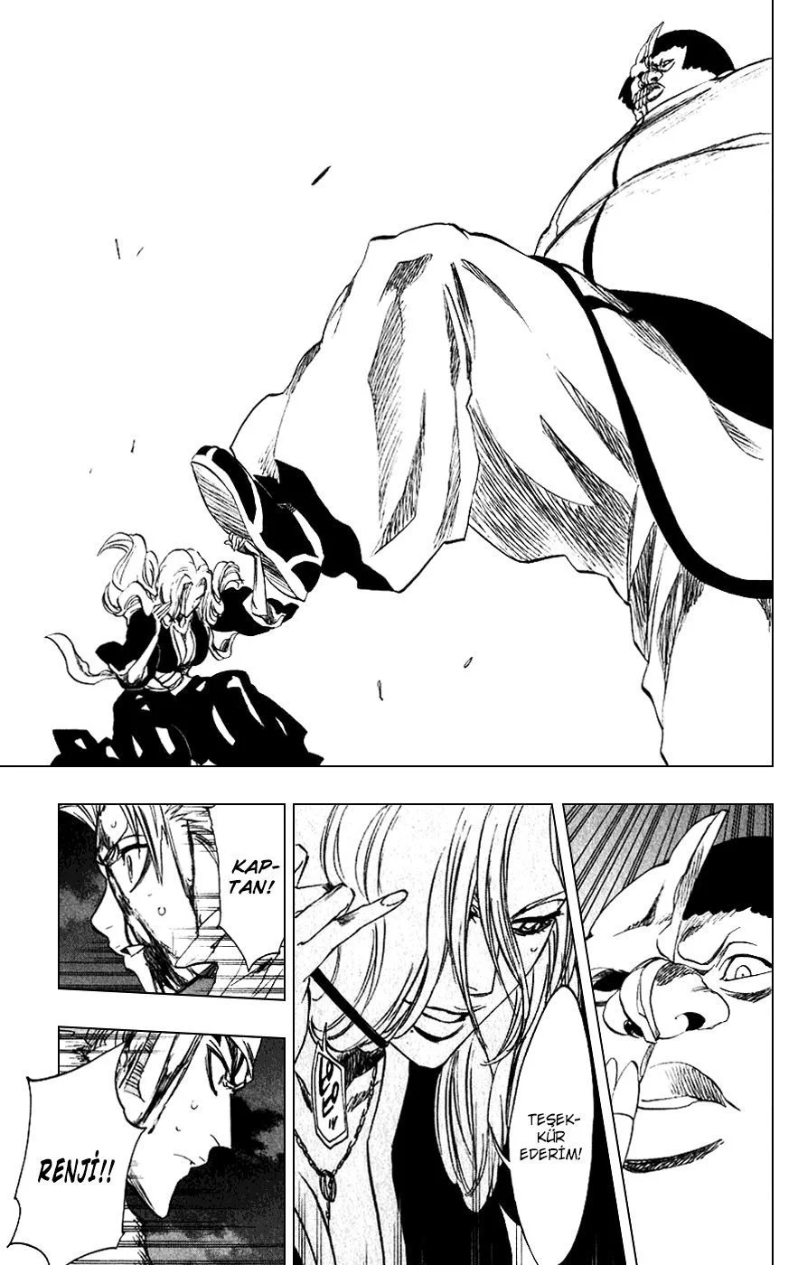 Bleach - Bölüm 209 - Sayfa 13