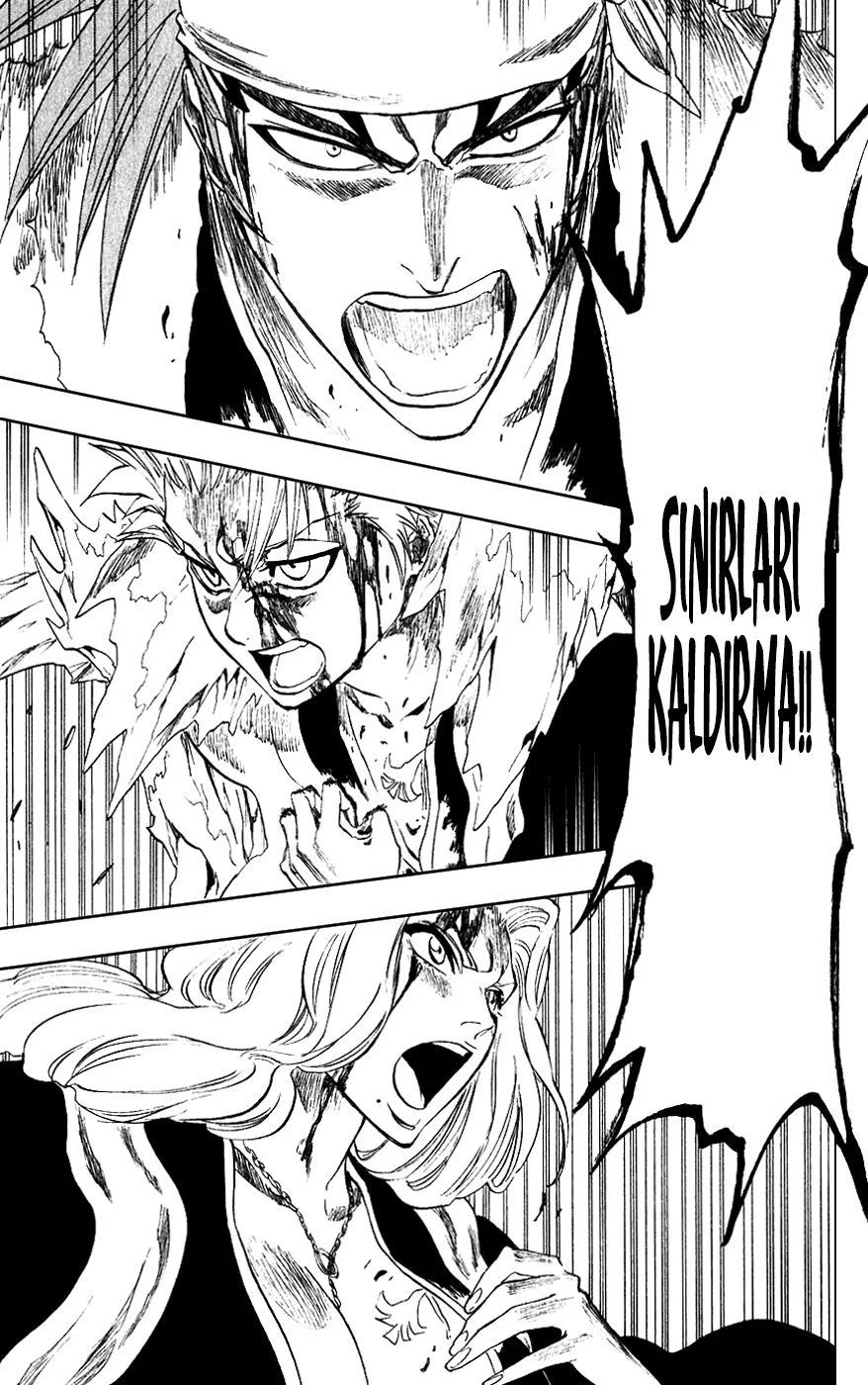 Bleach - Bölüm 209 - Sayfa 15
