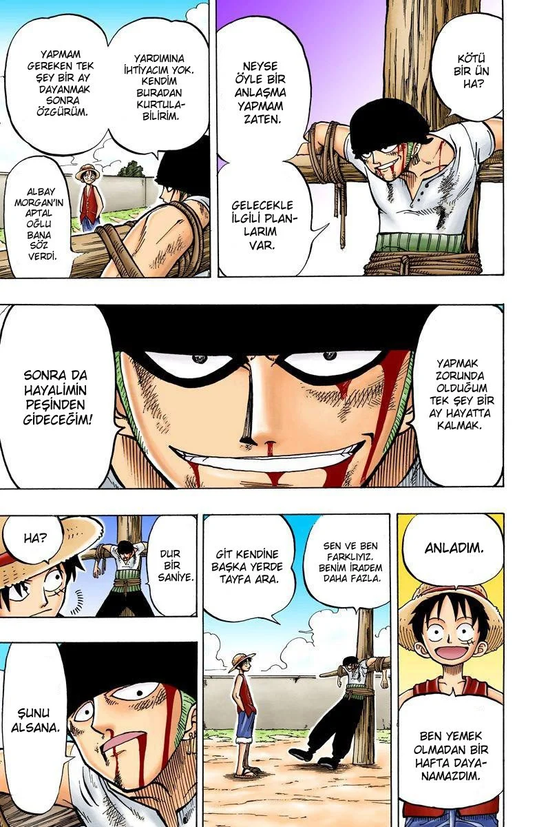 One Piece - Bölüm 3 - Sayfa 17