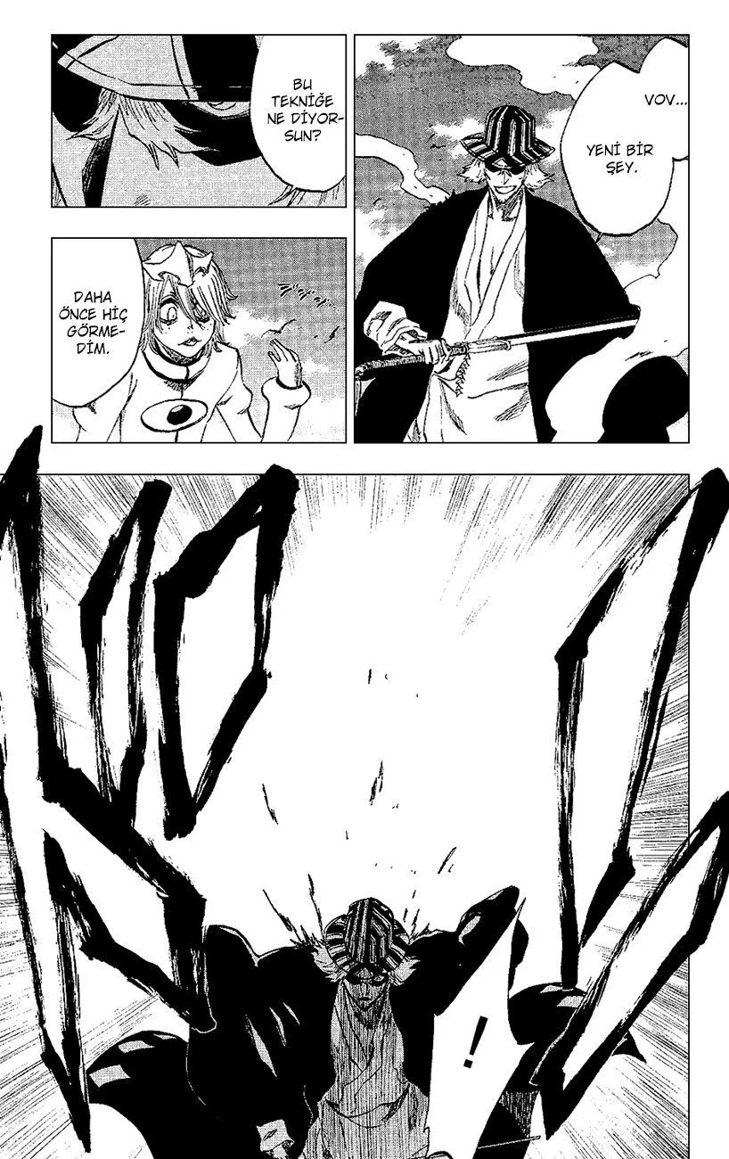 Bleach - Bölüm 234 - Sayfa 14