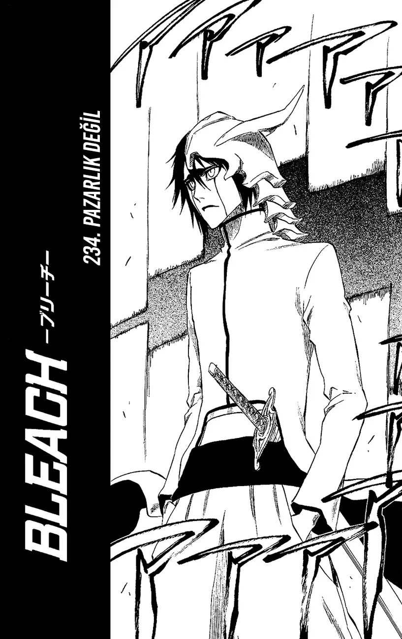 Bleach - Bölüm 234 - Sayfa 5