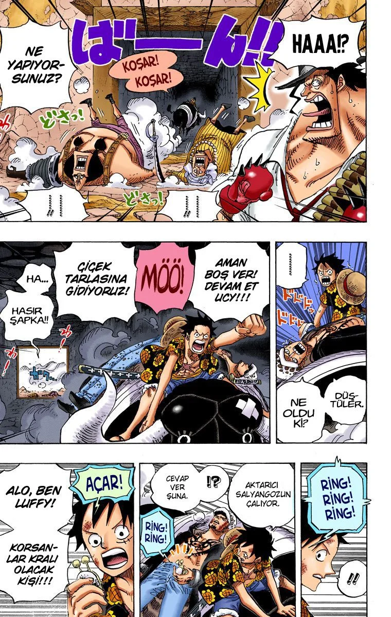 One Piece - Bölüm 751 - Sayfa 13