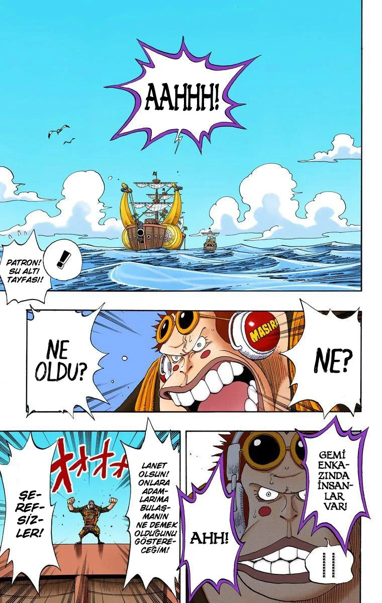 One Piece - Bölüm 220 - Sayfa 13