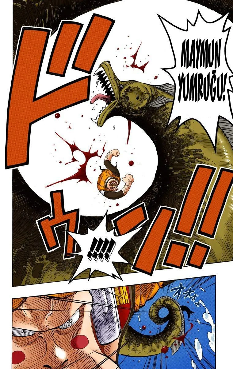 One Piece - Bölüm 220 - Sayfa 16